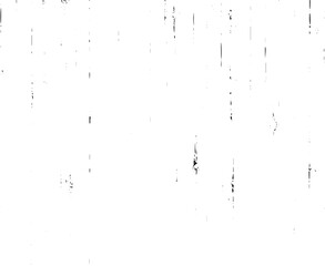 Rustic grunge vector texture with grain and stains. Abstract noise background. Weathered surface. Dirty and damaged. Detailed rough backdrop. Vector graphic illustration with transparent white. EPS10.