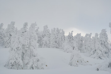 美しい冬の風景
