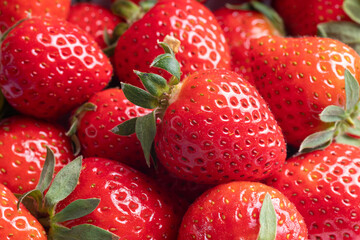 Red ripe strawberries background. Fresh ripe perfect strawberry. Strawberry background. Red fresh strawberry