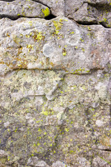 grungy texture of a grey stone with moss and caracks
