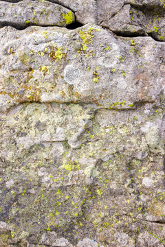 grungy texture of a grey stone with moss and caracks