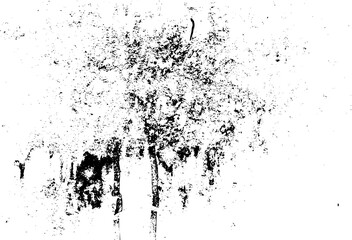 Rustic grunge texture with grain and stains. Abstract noise background. PNG graphic illustration with transparent background.