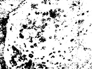 Rustic grunge texture with grain and stains. Abstract noise background. PNG graphic illustration with transparent background.