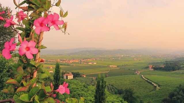 Breathtaking sunset over idyllic Italian countryside landscape near Verona, Italy with blooming pink flowers