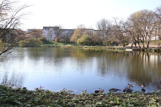 &Oslash;rstedsparken in Copenhagen, Denmark