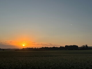 sunset over the field