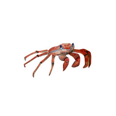 Crab illustration. Hand drawn watercolor illustration with red crab for posters design, souvenirs