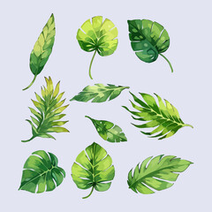 Fototapeta premium Leaves vector watercolor leaves leaf vector
