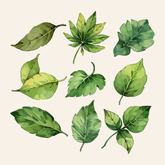 Leaves vector watercolor leaves leaf vector
