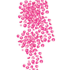 Petals, Pink rose flower, Valentines day background