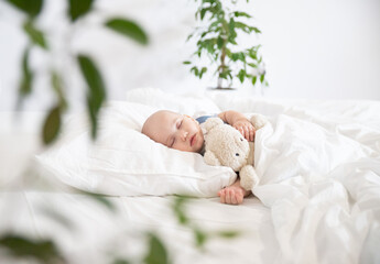 Newborn little baby with a soft toy Teddy bear lying on a white bed on a pillow among green flowers