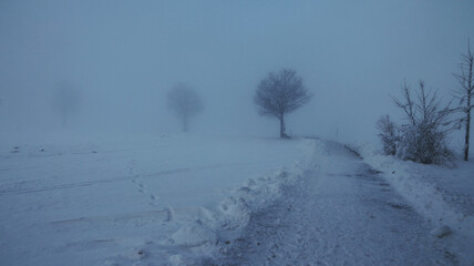 Eisiger dichter Nebel im Winter mit einem Weg und Bäumen