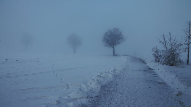 Eisiger dichter Nebel im Winter mit einem Weg und B&auml;umen