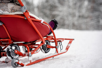 Beautiful red children's sled in the snowy pine forest of winter, enjoying sleigh ride