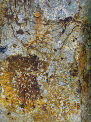 Natürliches im Garten erleben, Naturstein viel Details