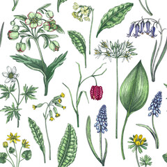 Spring flowers seamless pattern. Wildflowers background. Forest plant, greenery, wild flowers sketches. Hand drawn vector illustration. Not AI-generated