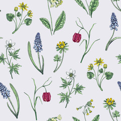 Spring flowers seamless pattern. Wildflowers background. Forest plant, greenery, wild flowers sketches. Hand drawn vector illustration. Not AI-generated