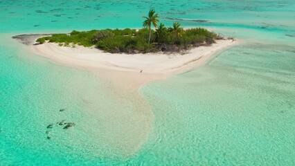 Young woman tanning on sand beach wild tropical island surrounded by coral reef atoll. Wild untouched nature landscape. Outdoor lifestyle travel on summer holiday vacation. Aerial drone