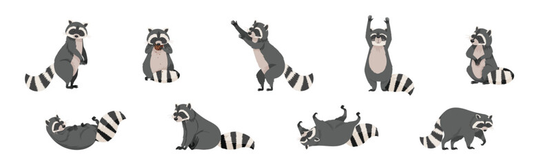 Funny Raccoon with Front Paws and Ringed Tail Vector Set