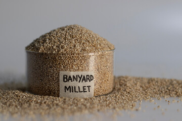 Closeup of banyard millet, a healthy grain, in a glass bowl with label on it filled to the brim