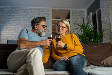 Happy senior couple in love hugging holding glasses, drinking wine, celebrating Valentines day dining at home together, having romantic dinner date with candles sitting at table, embracing and bonding