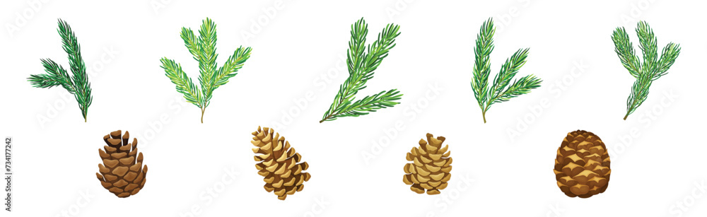 Poster pine tree evergreen branches with needles and cone vector set
