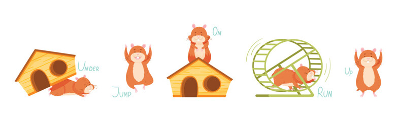 Cute Hamster Demonstrating English Verbs and Prepositions of Place and Movement Vector Set