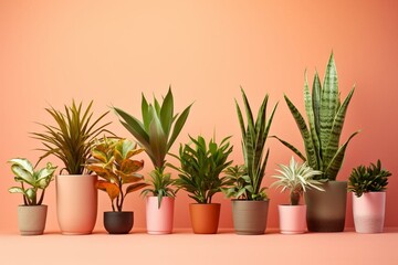 Collection of diverse potted plants against a plain background. Generative AI