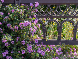 Fragment of a bronze fence with lilac flowers