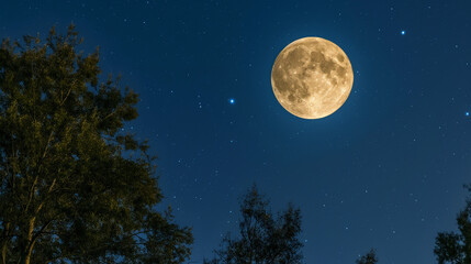 Majestic Full Moon Over a Tranquil Night Sky, Silhouetted Trees Under Starlight, Serene Nature Backdrop