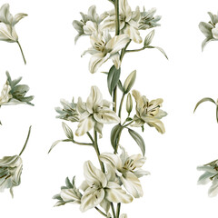 Watercolor seamless pattern of white lilies on the white background.Sage leaf color for for fabric,cards, flyers, poster, banner,stoles, wallpaper, furniture.