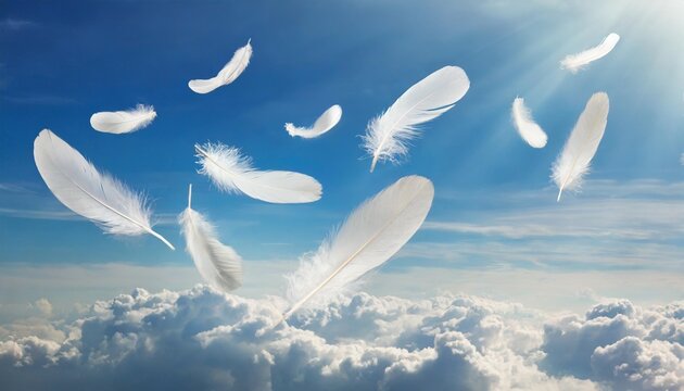 abstract white bird feathers falling in a blue sky softness of floating feathers