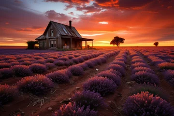 Fototapeten Magic sunset over a lavender field., generative IA © JONATAS