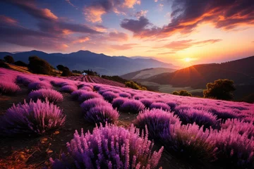Fototapeten Lavender hill in flower under the blue sky., generative IA © JONATAS