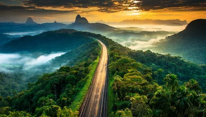 Papier Peint photo autocollant Brésil Street winding through the rainforest