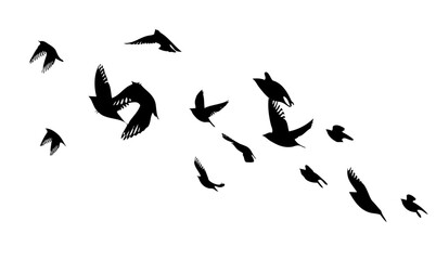 Flying birds silhouette flock. hand drawing. Not AI. Vector illustration