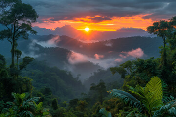 Sun setting over the jungle mountains nature wallpaper background
