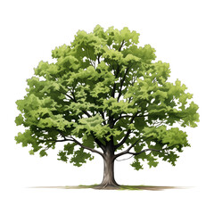 Green Tree, cartoon clipart, isolated on transparent background.