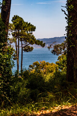 Fototapeta premium Paisaje en Islas Cíes, Galicia.