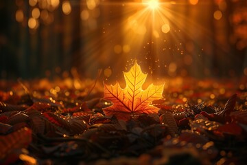 a maple leaf is standing on the ground - obrazy, fototapety, plakaty