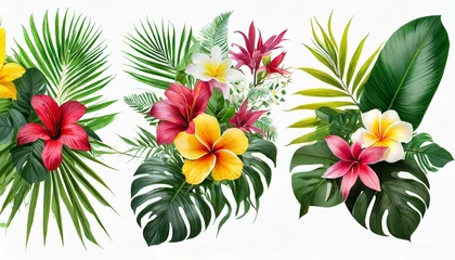 Foto op Plexiglas set tropical vector flowers card with floral illustration bouquet of flowers with exotic leaf isolated on white background composition for invitation to party or holiday © Pauline