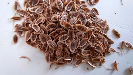dill seeds on a white background. a bunch of seeds in the macro