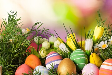 Easter  colored eggs on the green meadow