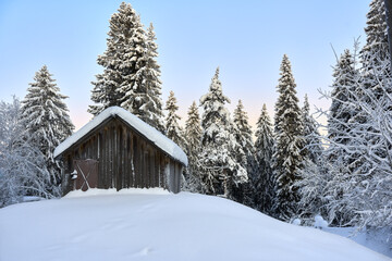 Fototapeta na wymiar A wooden house on a snowy hill among coniferous trees. Winter frosty day.