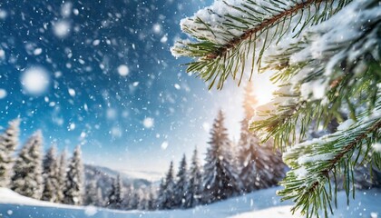 winter background falling snow on pine tree branches copy space christmas holiday background