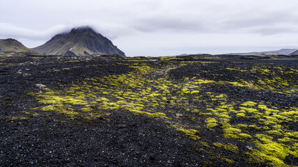 Lava field