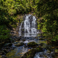 Obraz premium waterfall in the forest
