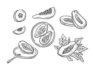 Hand drawn doodle outline set with papaya fruits. Sketchy black contour whole and part of fruits on white background. Ideal for coloring pages, tattoo, pattern