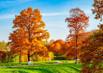 Alexander park in golden autumn, Pushkin (Tsarskoe Selo), Saint Petersburg, Russia