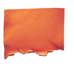 Orange paper cutout on a transparent background.